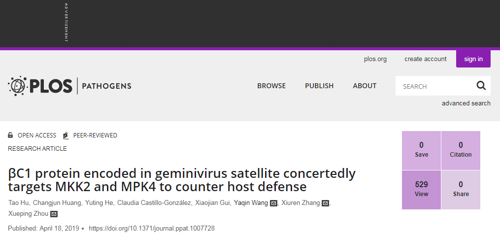 A report of geminivirus encoded βC1 protein interfering host MAPK cascade mediated defense by concertedly targeting MKK2 and MPK4