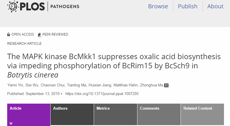 PLOS PATHOGENS: The MAPK kinase BcMkk1 suppresses oxalic acid biosynthesis via impeding phosphorylation of BcRim15 by BcSch9 in Botrytis cinerea