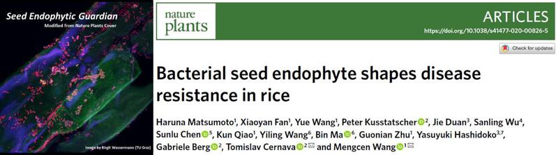 The Hidden Role Of Seed Endophyte In Plant Disease Triangle Is Uncovered