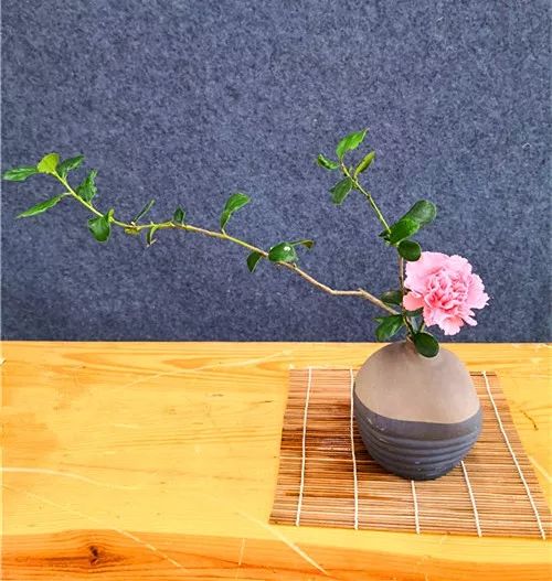 https://mmbiz.qpic.cn/mmbiz_jpg/72BskKIHBM8tvwW6W8oB8DE99bDaib2mdjOKymib0mjJO2eyjtfh7qj6soT2YGibFlm6oUibpCNuCicNtFwKKQAvnJA/640?wx_fmt=jpeg